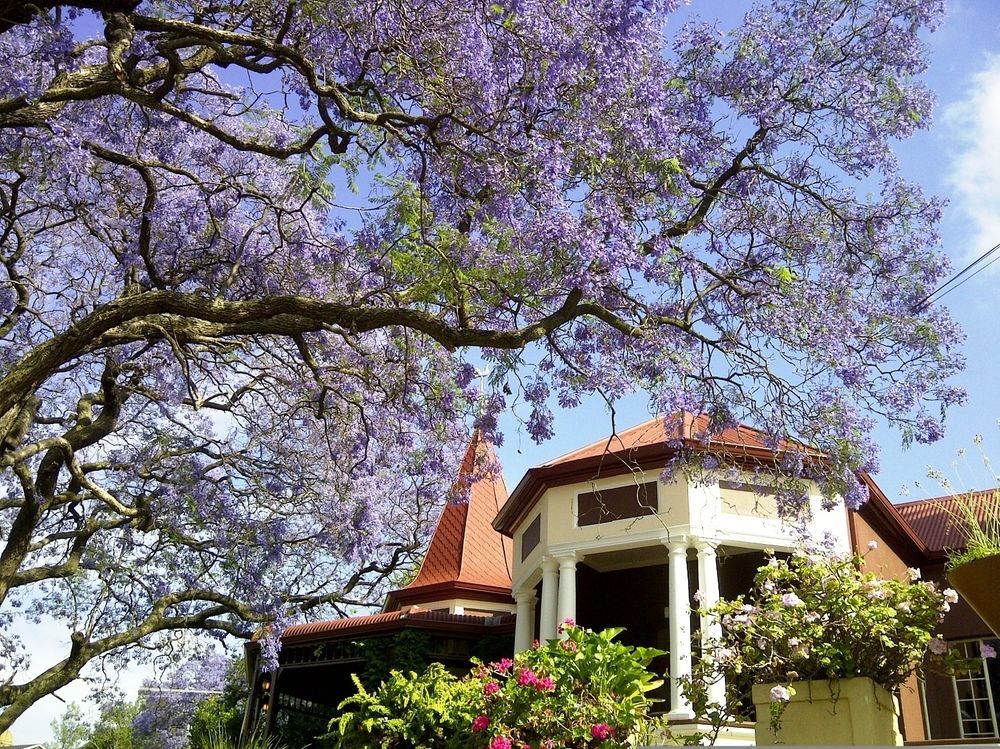 Melvin Residence Guest House Pretoria-Noord Exteriör bild